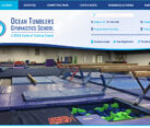 Website Design Gymnastics Centers