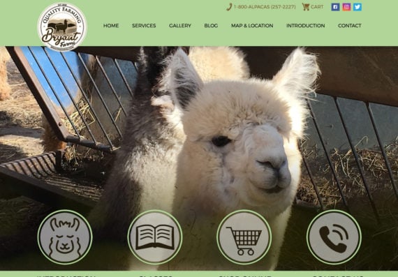 Web Design Farming Business, Web Design for Farm Owners VA
