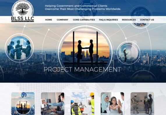 Website Design Government Commercial SDVOSB Consultants