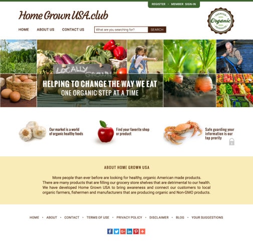 Website application development