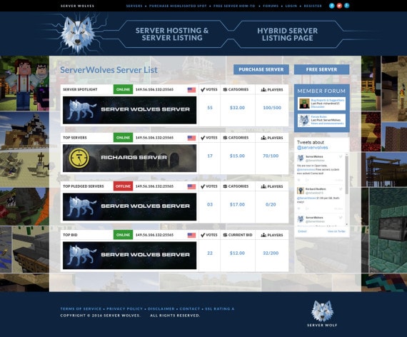 MineCraft, E-commerce Custom Web Apps, Website Apps, Database Development