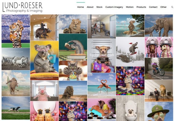 Stock photo website design, Web development stock photo sites