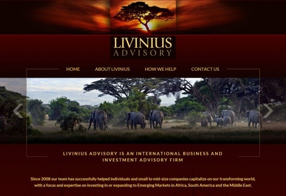 Websites Designed Global Businesses