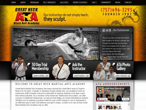 Web Design Martial Arts Taekwondo Businesses