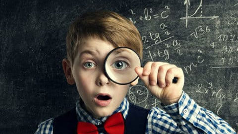 WE GET TOP SEARCH ENGINE RANKING RESULTS