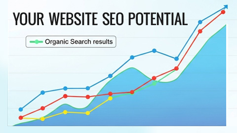 WE DEVELOP THE SEO POTENTIAL OF YOUR WEBSITE.