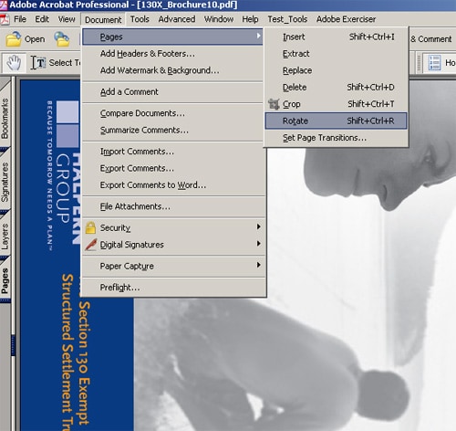 Save PDF Rotated View