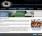 Non-Profit Website design Hampton Newport News VA