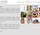 Stock photo website design