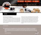 Website Design for Plumbing Contractors