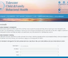 Website Design for Mental Healthcare Providers VA Beach