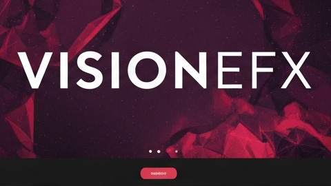 About VISIONEFX